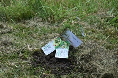 Zielono mi... EkoWakacje z Domem Kultury 2025